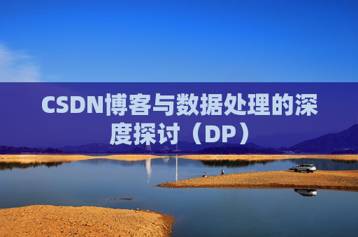 CSDN博客与数据处理的深度探讨（DP）